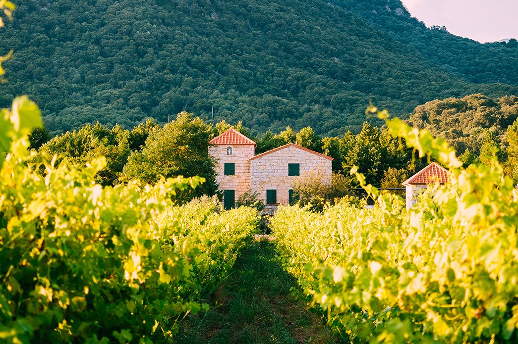 Locations villas alpilles